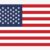 Flaga USA
